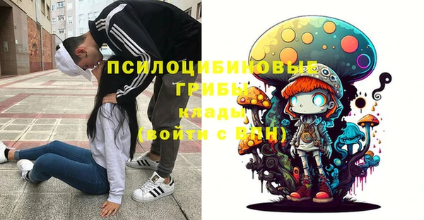 твердый Покров
