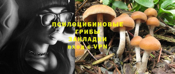 ПСИЛОЦИБИНОВЫЕ ГРИБЫ Баксан