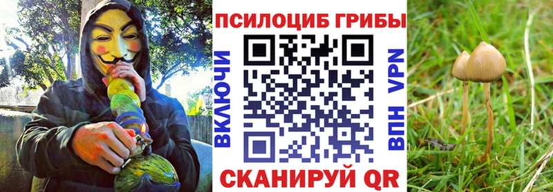 Купить закладки Барабинск Псилоцибиновые грибы Psilocybe